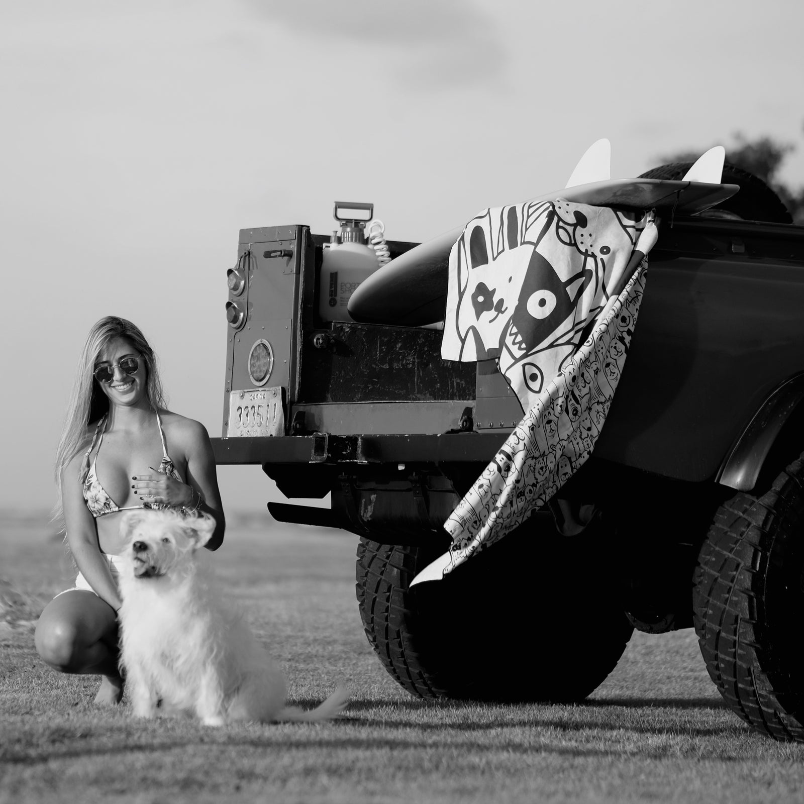 Air Dry Towels Pet Themed