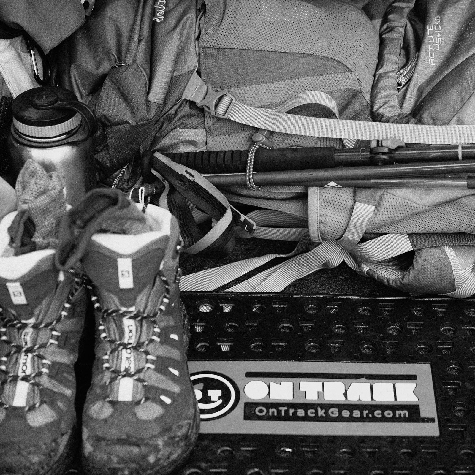 Hiking the Rain Forest