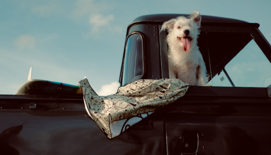 Rescue Dog Microfiber Towel by OnTrack Gear