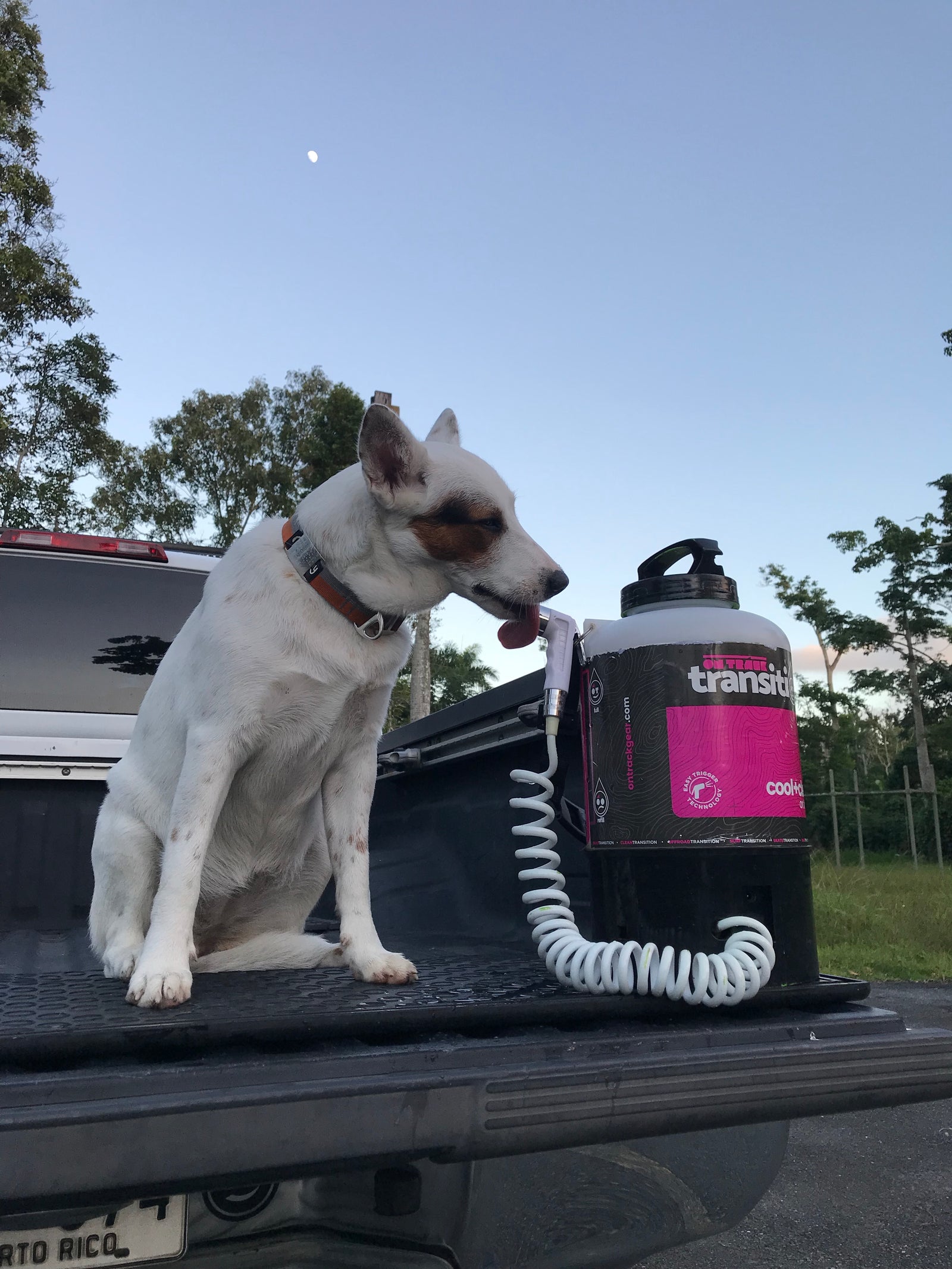 dog portable shower ontrack gear rinse water